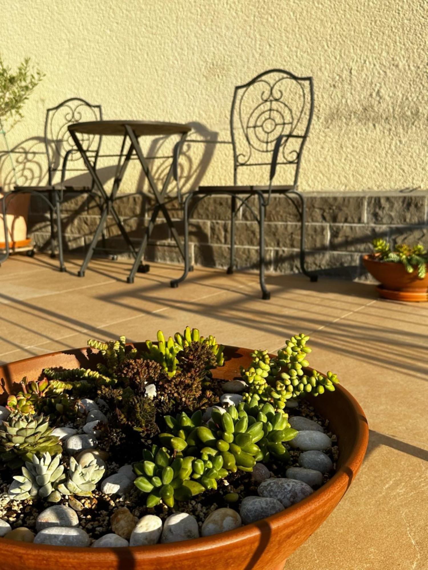 Apartment Cvetka Πορτορόζ Εξωτερικό φωτογραφία